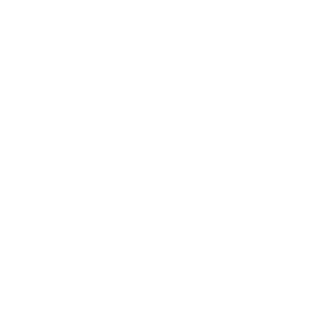 HRSAT — Human Rights Satellite
